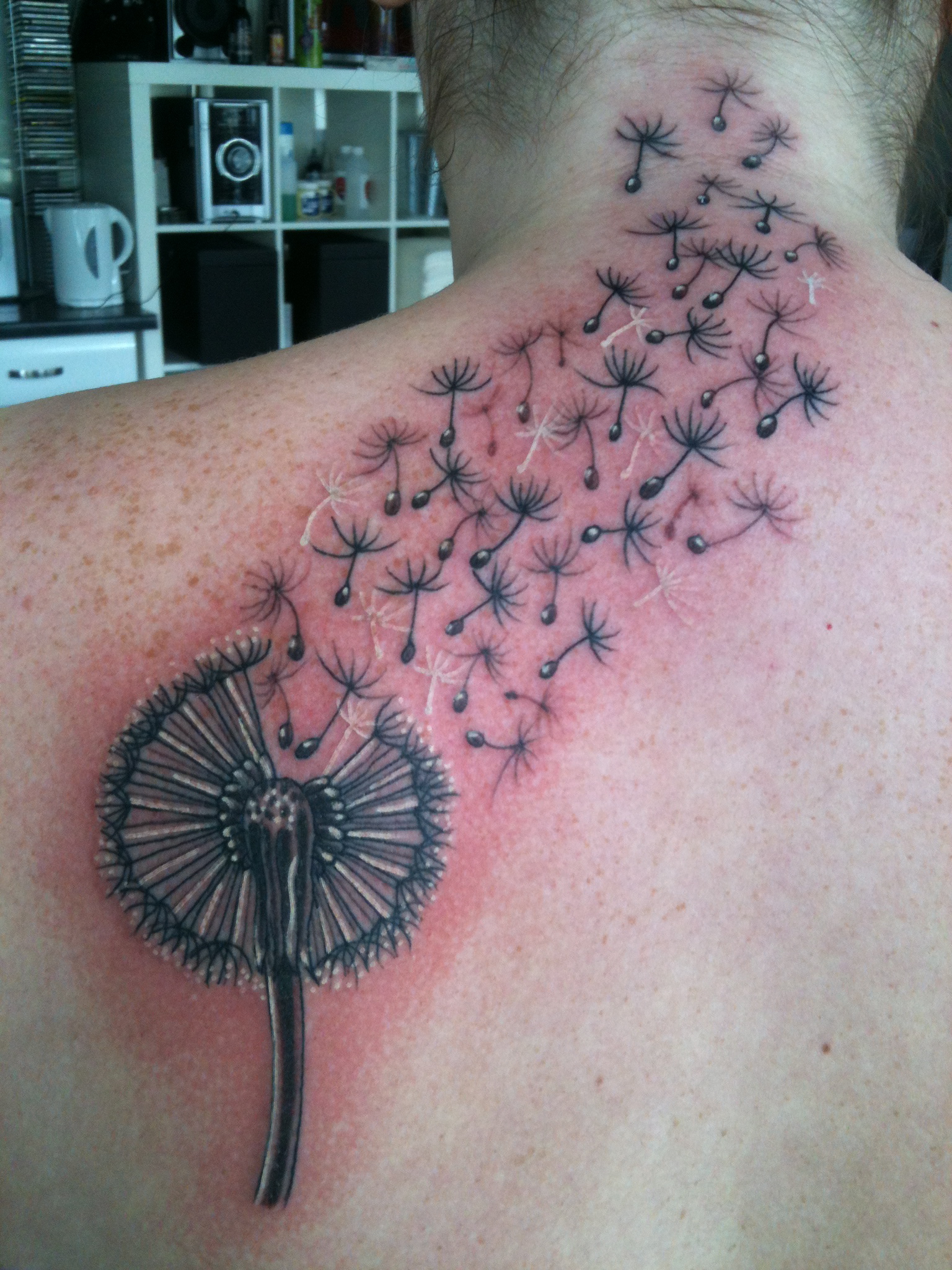 Dandelion, tattoo, femininity, abziehtattoo, human Back, meaning, teal,  feather, idea, turquoise | Anyrgb